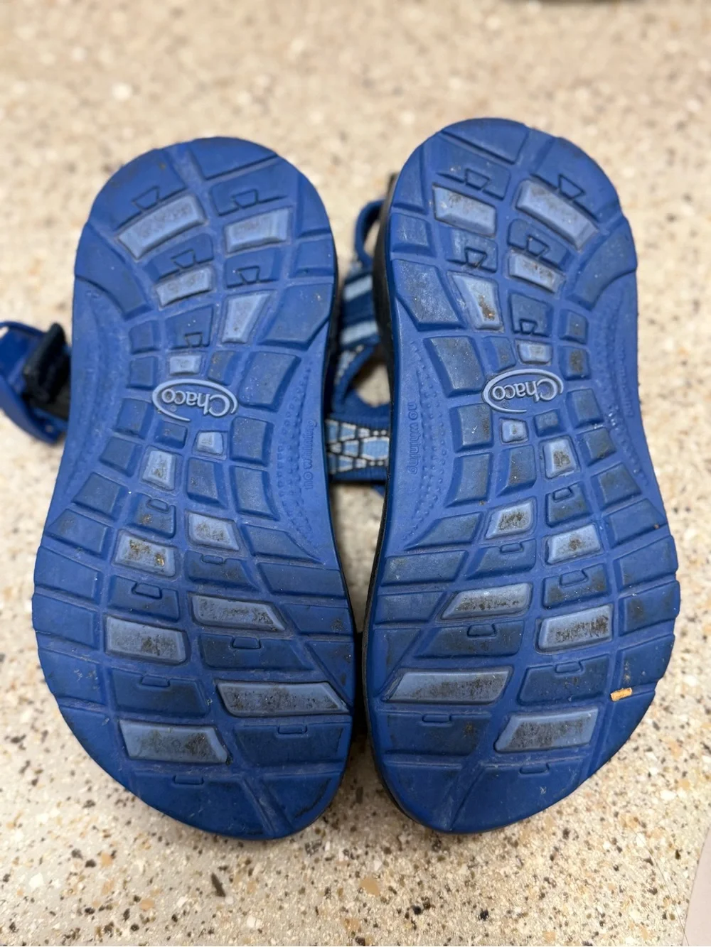 Chaco Kids Blue Patterned Sport Sandals